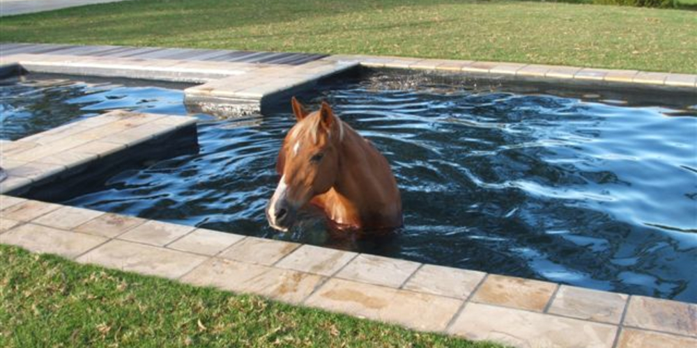Solar Pool Heating - South Africa - Case Study - Image 13